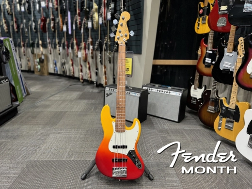 FENDER MONTH: Fender PP Active Jazz Bass 5 String